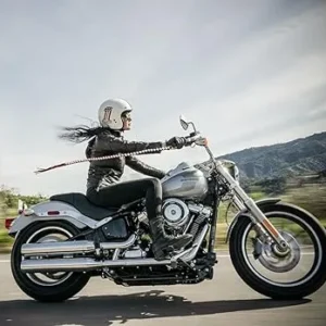 Get Back Whips