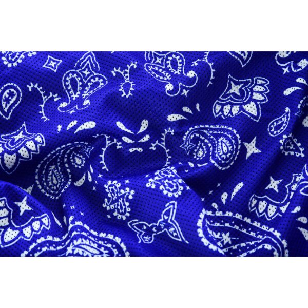 Blue Soul Men’s Black Mesh Textile Vest with Blue Paisley Liner - Image 19