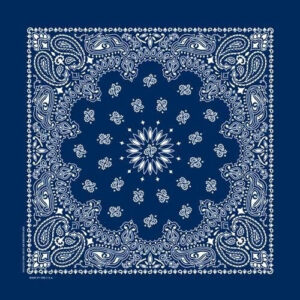 NT4402 Bandana Paisley Navy
