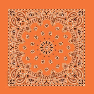 NT4404 Bandana Paisley Orange