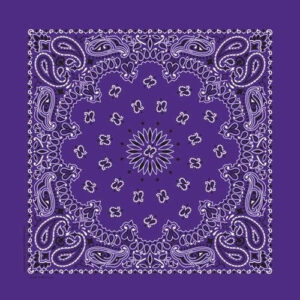 NT4406 Bandana Paisley Purple