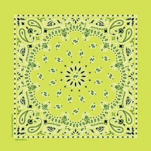 NT4410 Bandana Paisley Lime