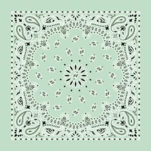 NT4414 Bandana Paisley Mint