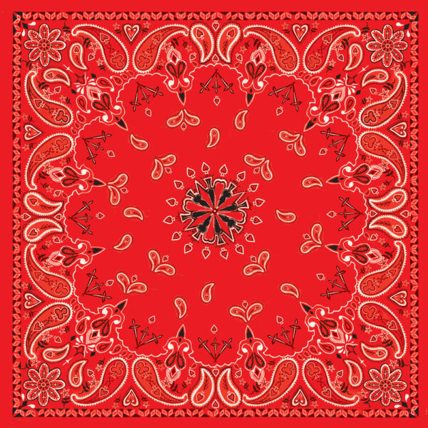 B003- Bandanna Red Paisley