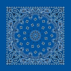 BD2501 Bandana Paisley Royal