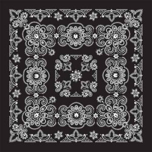 BD2508 Bandana Texas Paisley Black [27" x27"]